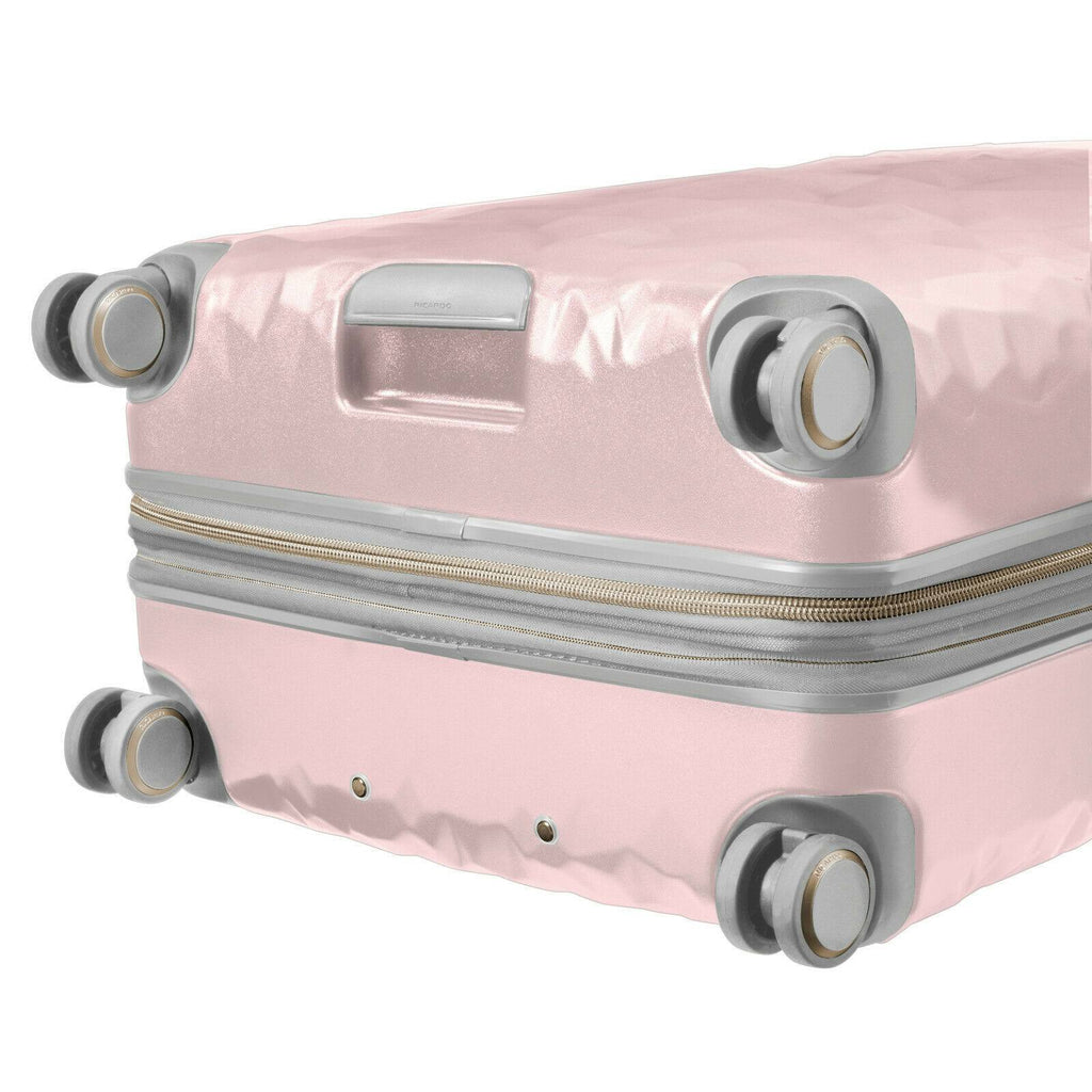 Large Check-In N479281