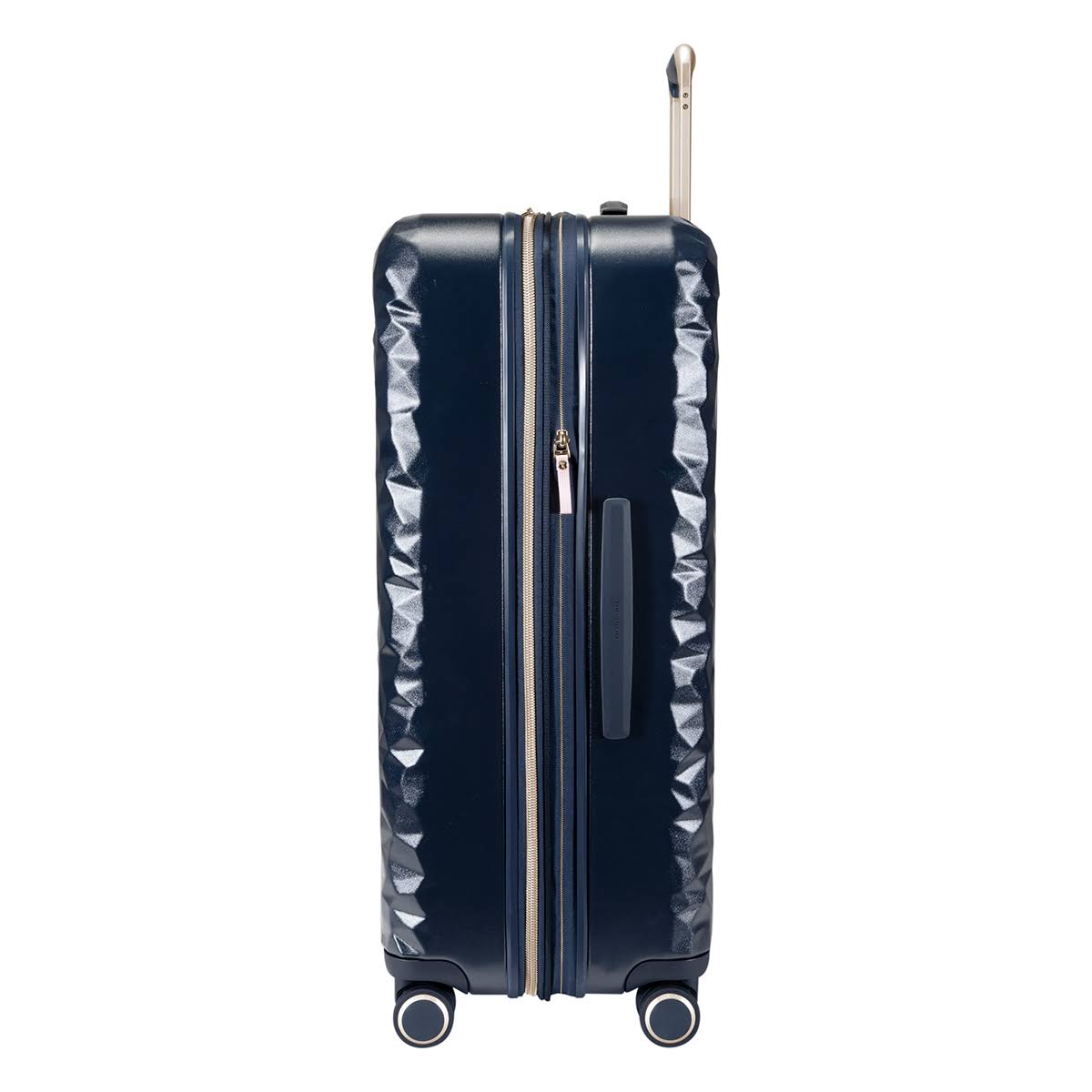 Large Check-In N479281