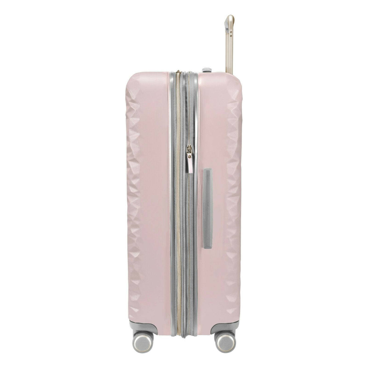 Large Check-In N479281