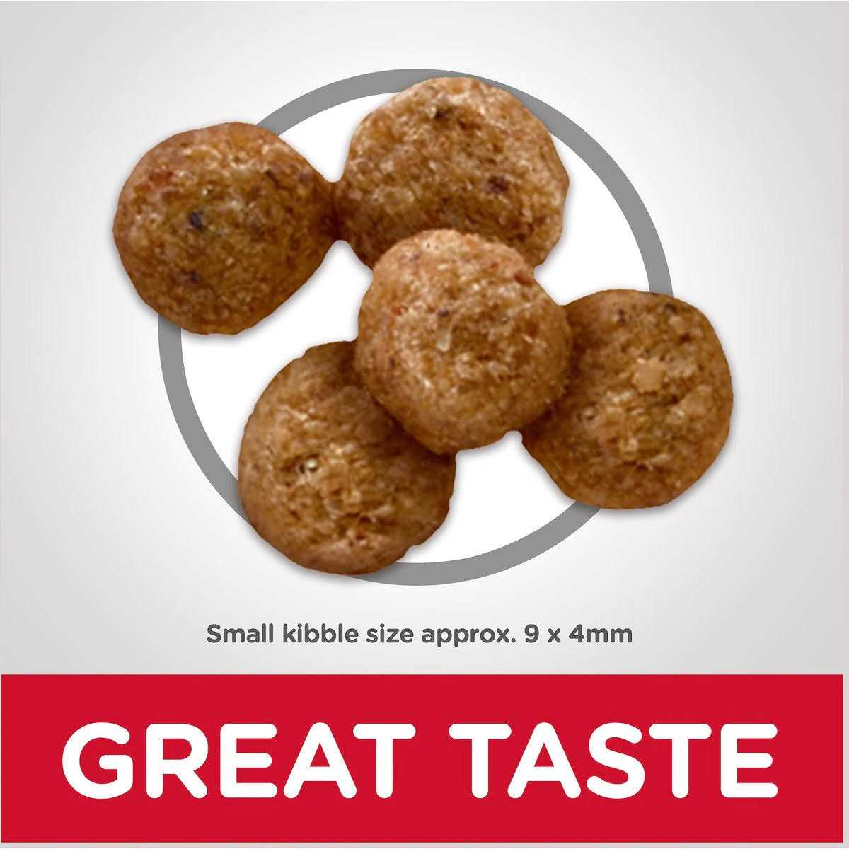 Dry Dog Food N5623