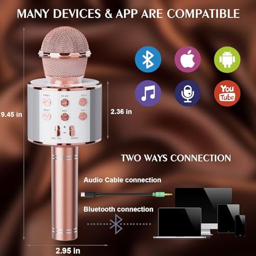 Wireless Bluetooth Karaoke Microphone 2 Pack Handheld Mic Speaker T221