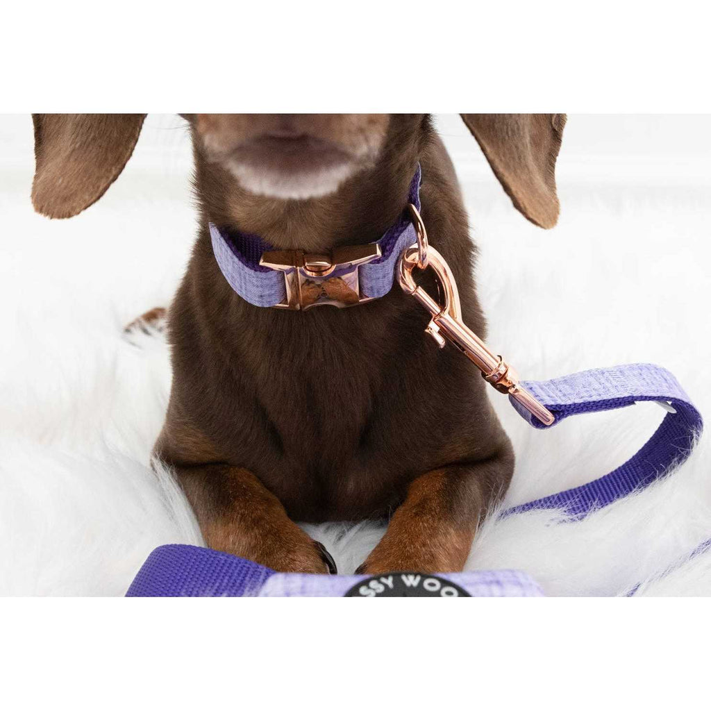 Dog Collar W98343