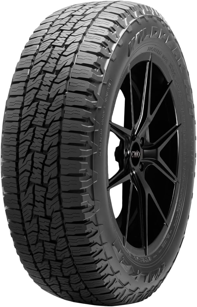 265/70R17 113S Radial Tire V765