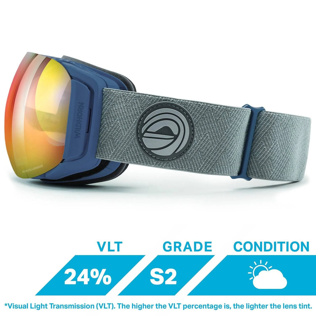Ski Goggles V2451