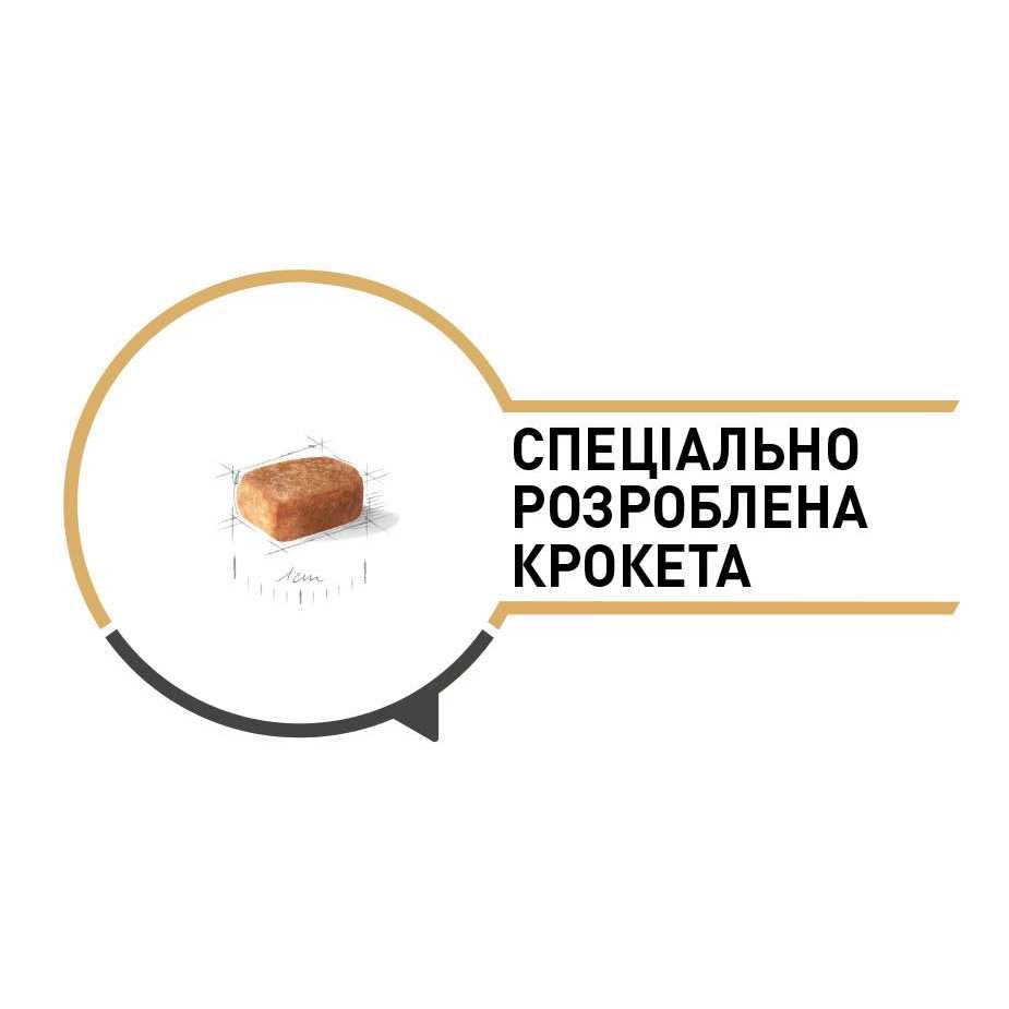 Chihuahua Puppy Dry Dog Food Q580165