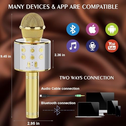 Wireless Bluetooth Karaoke Microphone 2 Pack Handheld Mic Speaker T221