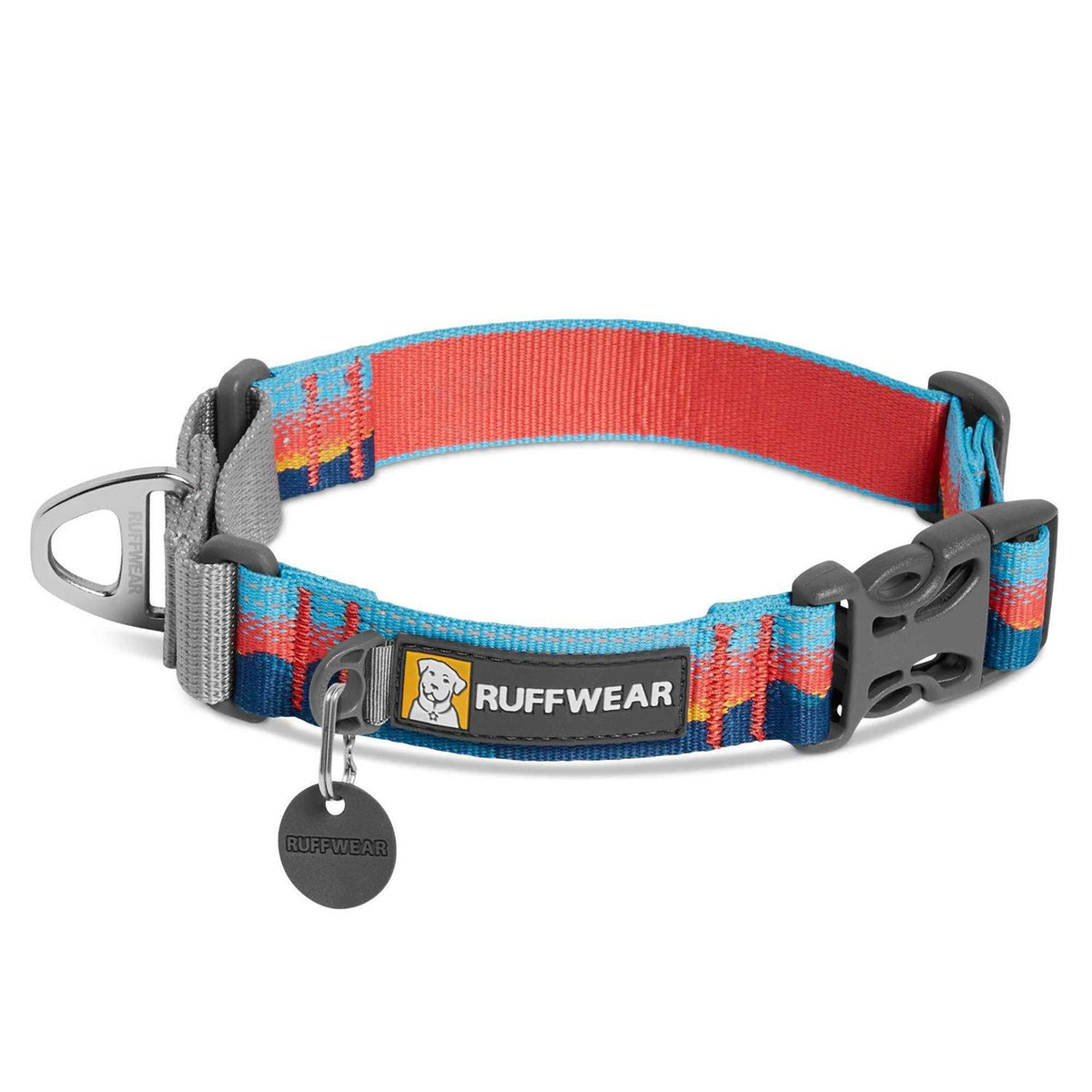 Dog Collar Y387254