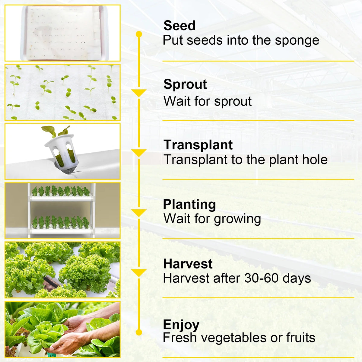 3 Layer 54 Plant Sites Hydroponic Grow Kit with Water Pump and Timer K901018