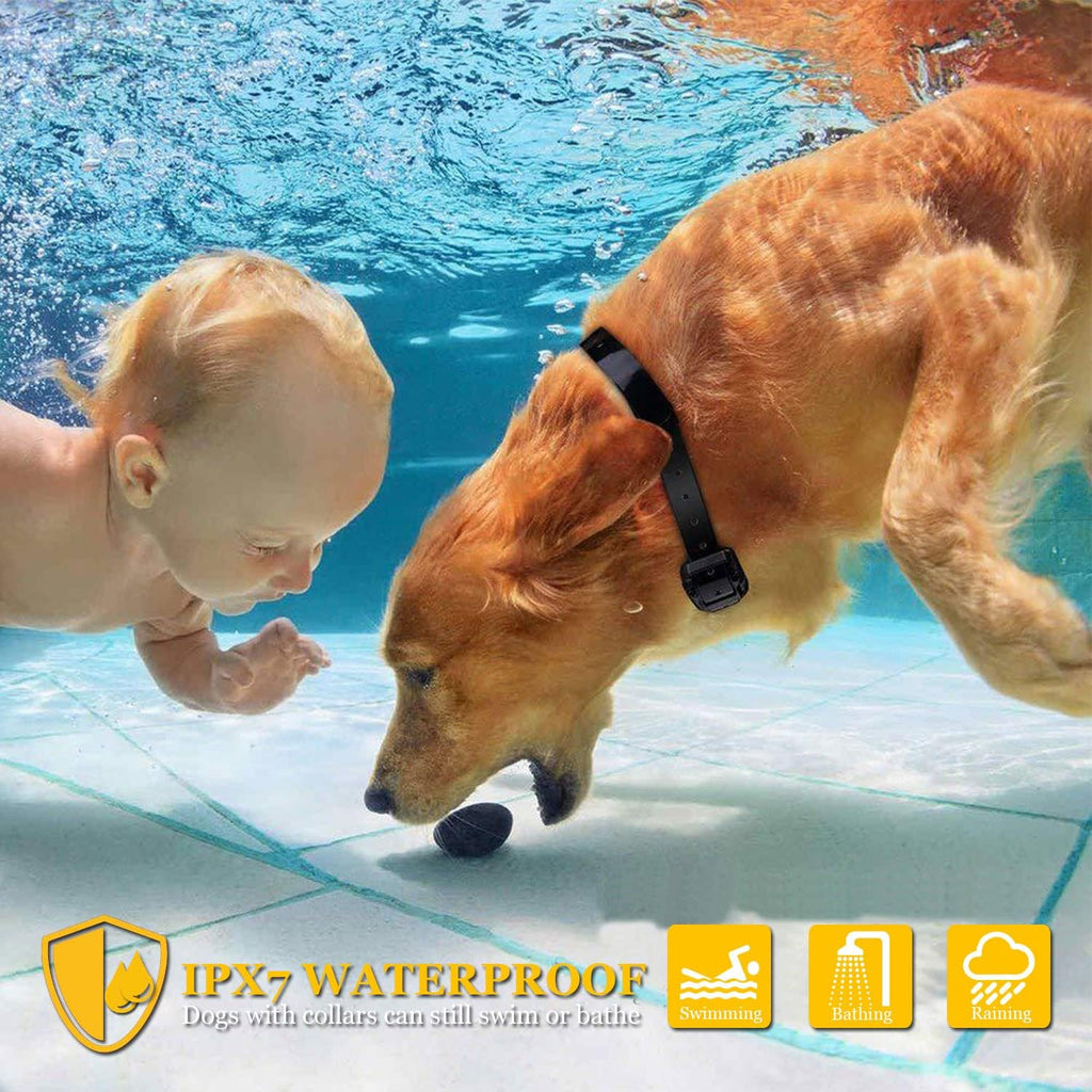 Waterproof Rechargeable Dog Training Collar Pack of 2 H68267