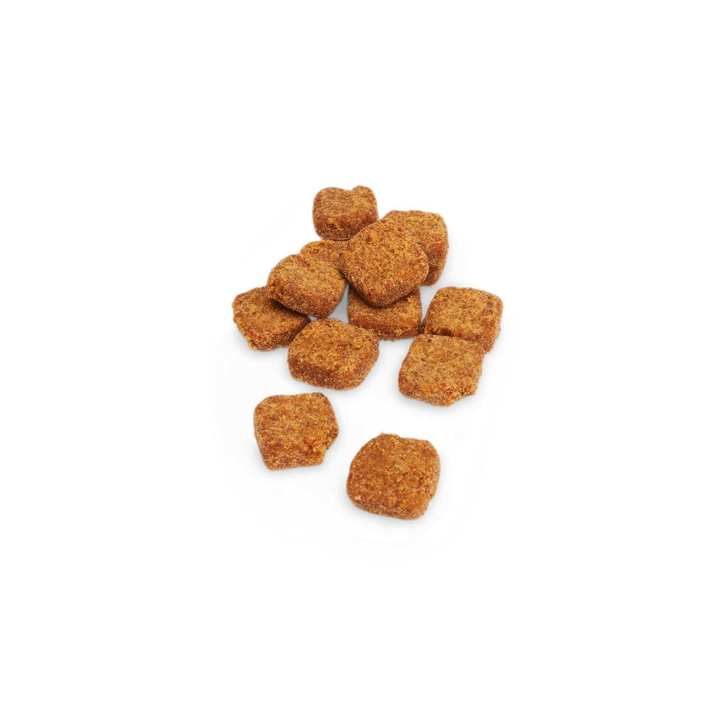 Digestive Enzymes with Probiotics Soft Dog Chews R876