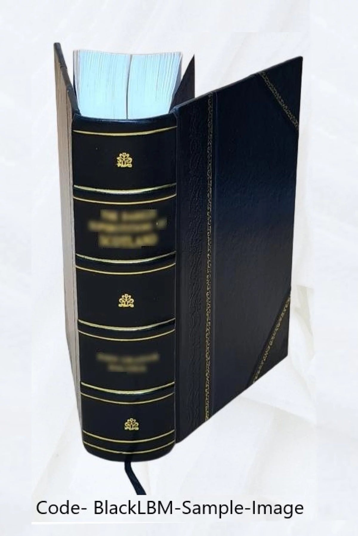 Electric Law Treatise Leather Bound F855