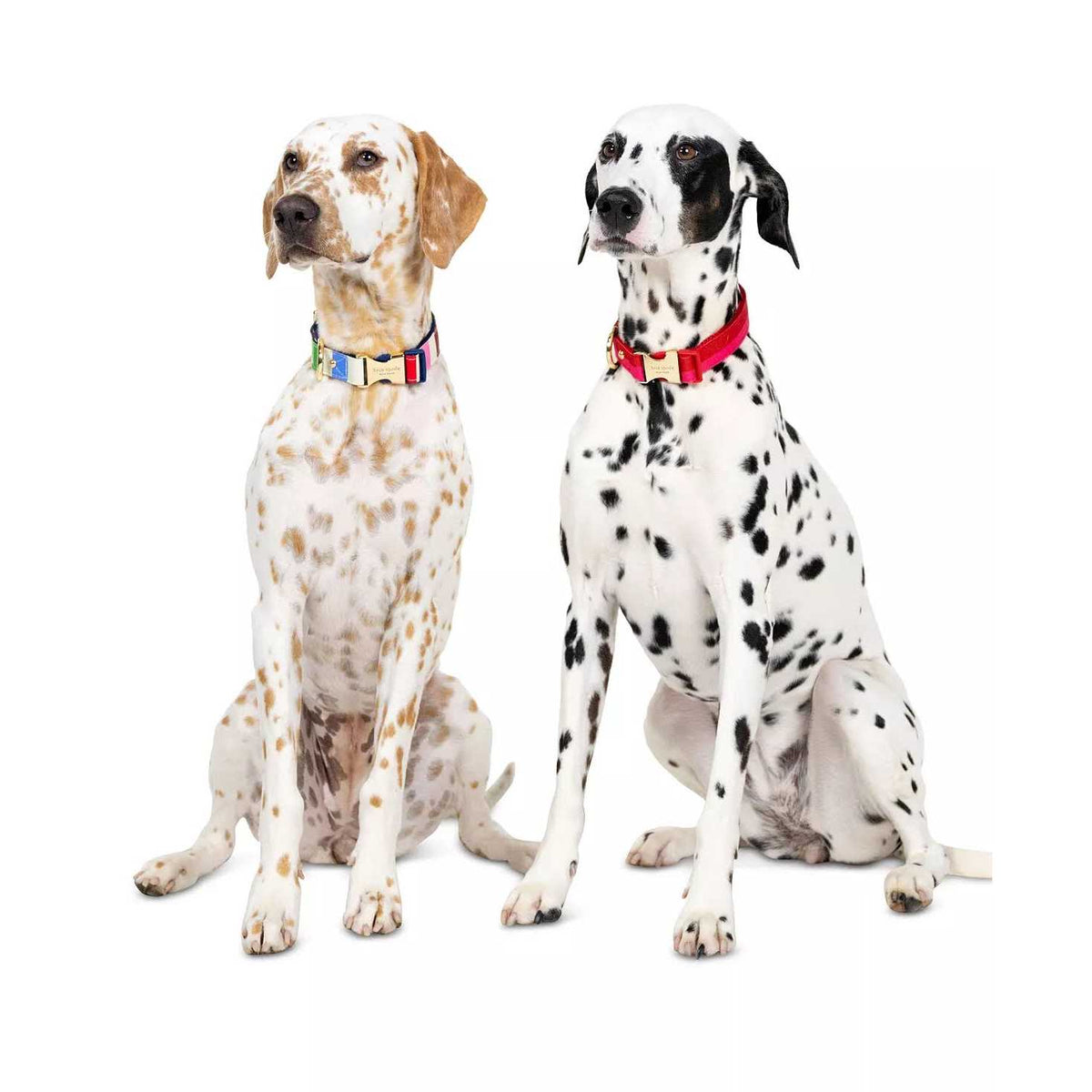Red Pink Colorblock Dog Collar W20229