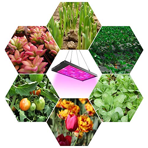 300W Full Spectrum Led Grow Light with 4 Dimmable Levels W91064