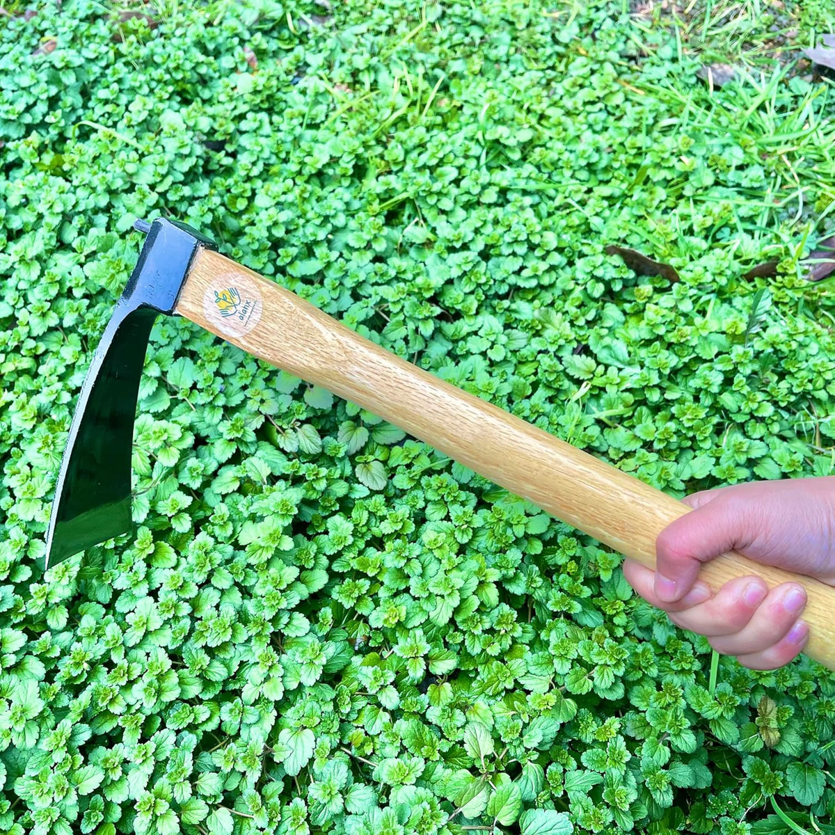 14 Inch Wide Japanese Carbon Steel Garden Hoe with Oak Wooden Handle S4379