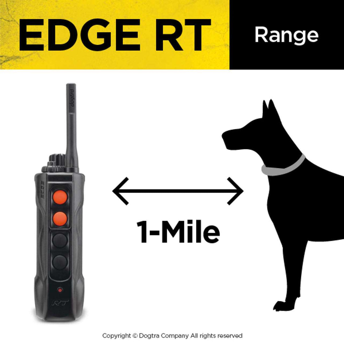 Pet Supplies Z20811