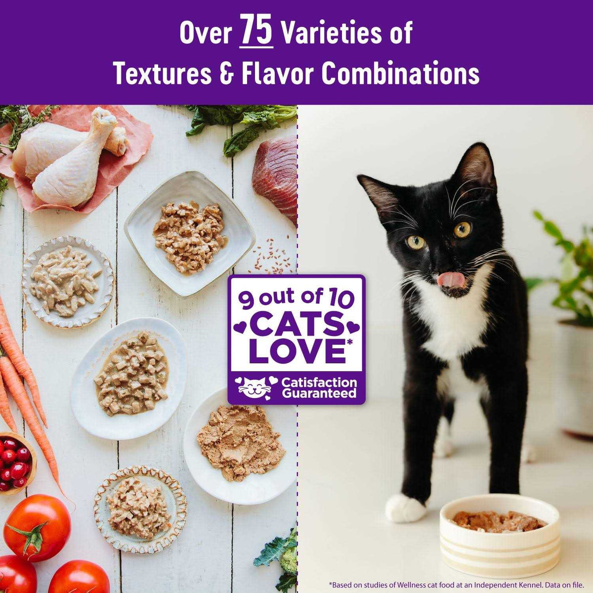 Grain Free Wet Cat Food Q187