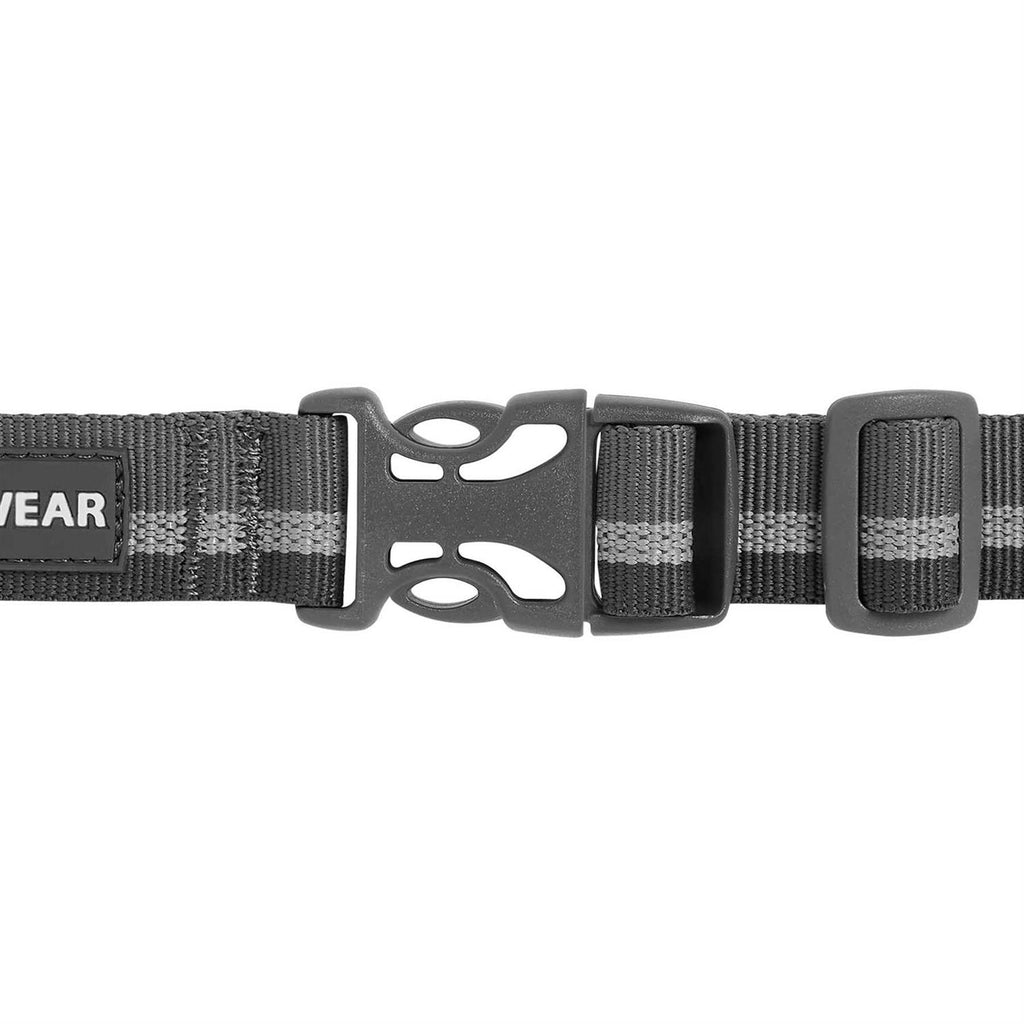 Dog Collar Y387254