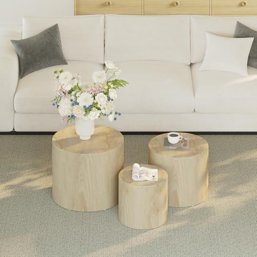 Round Wooden Nesting Coffee Table Set of 3 G498411