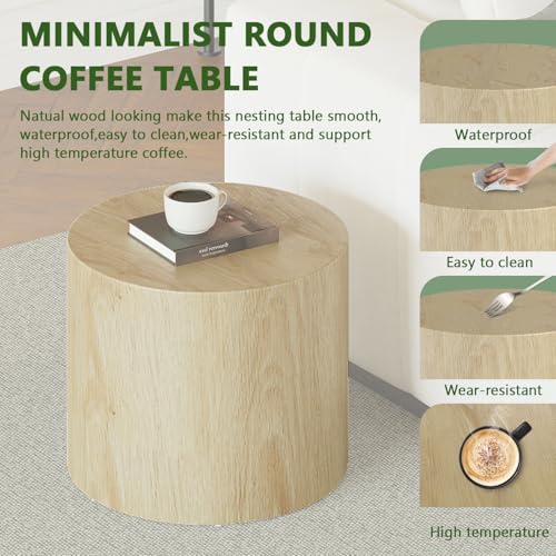 Round Wooden Nesting Coffee Table Set of 3 G498411
