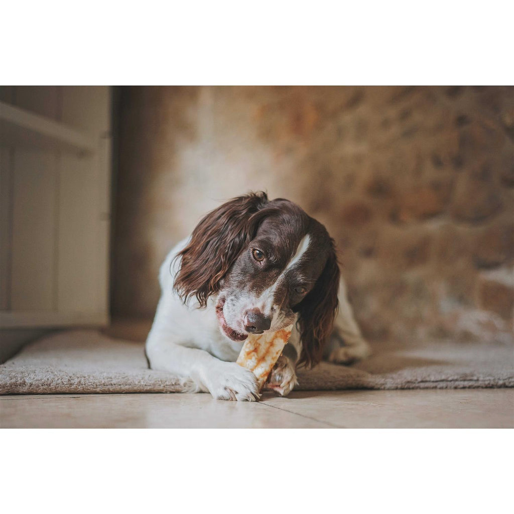 Peanut Butter Dog Chews C5700
