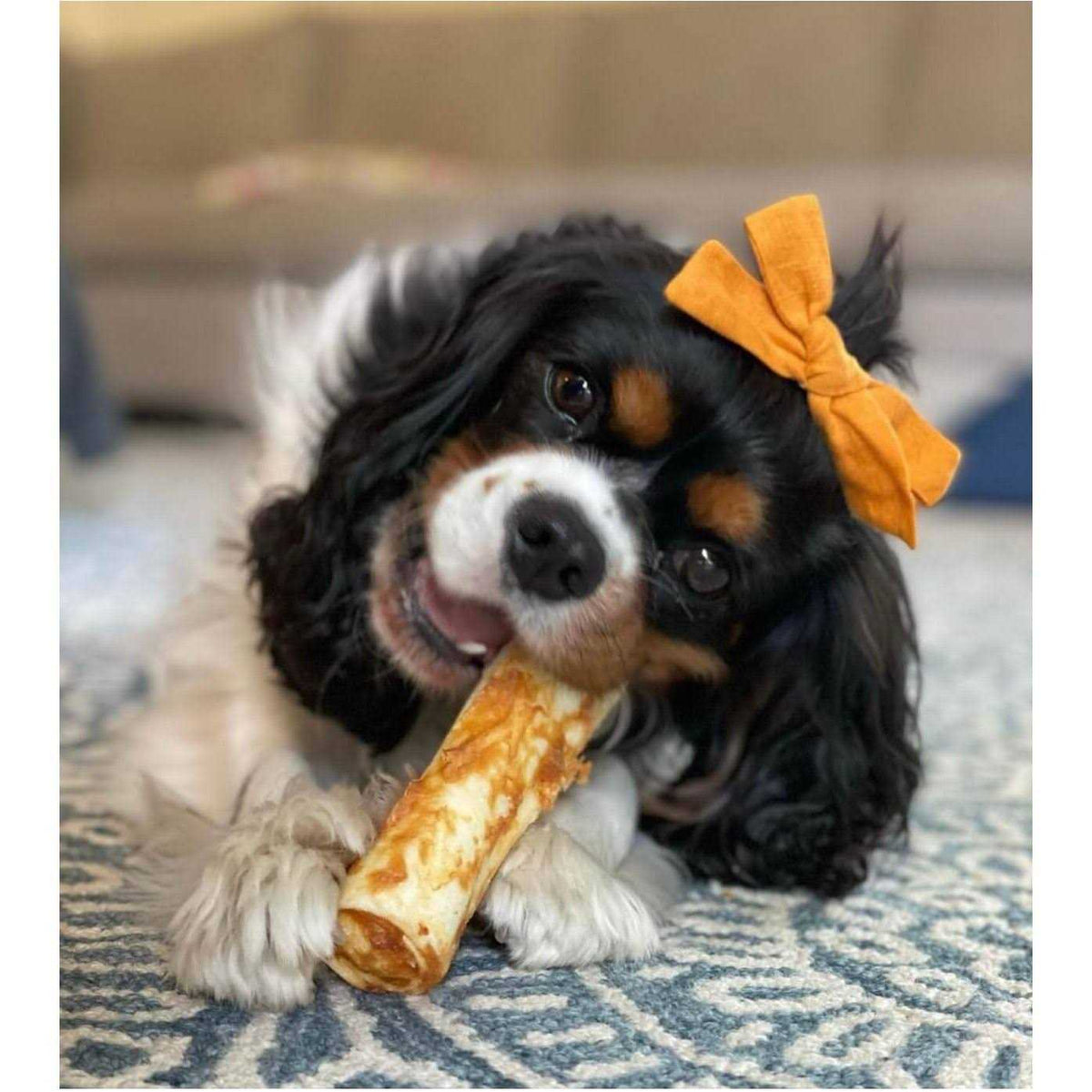 Peanut Butter Dog Chews C5700