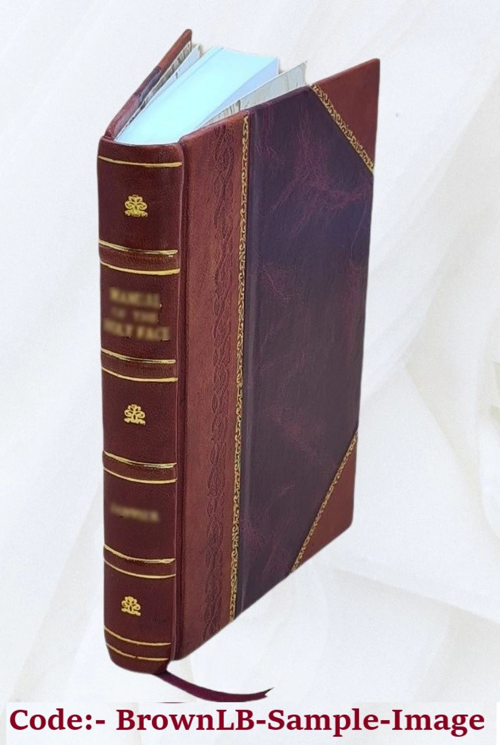 Leather Bound Book K508