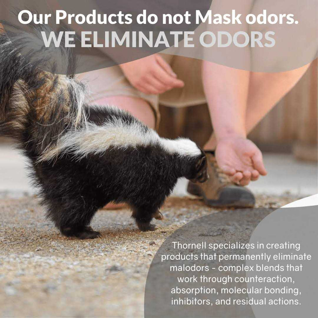 Shampoo V688495