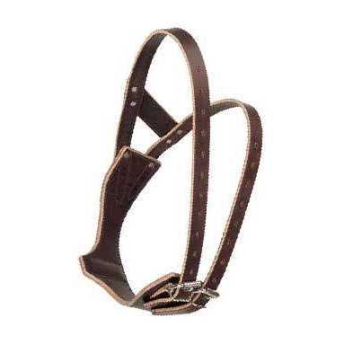 Leather Collar P74081