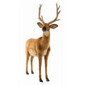 White Tailed Deer Plush Toy Q686