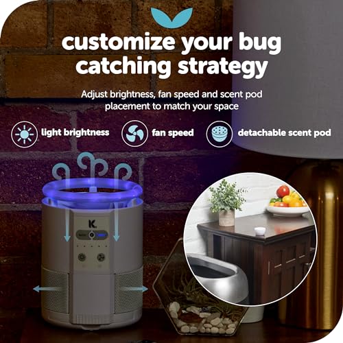 Indoor Insect Trap with UV Light (Black) U22930