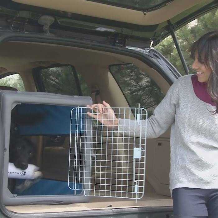 Pop up Travel Crate D8367