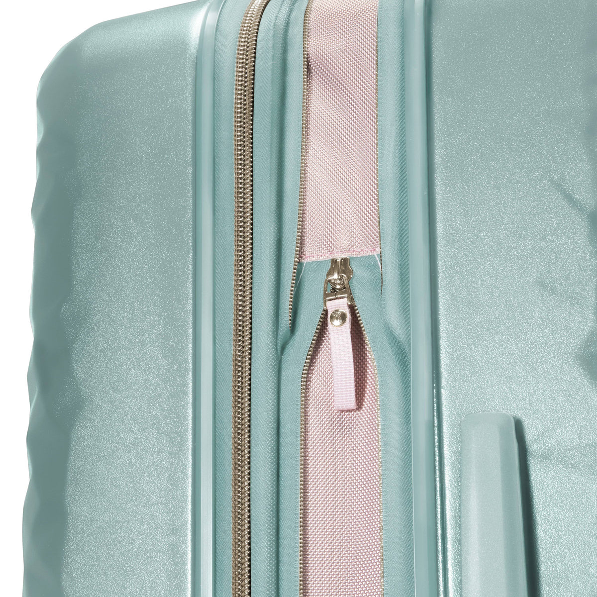 Large Check-In N479281