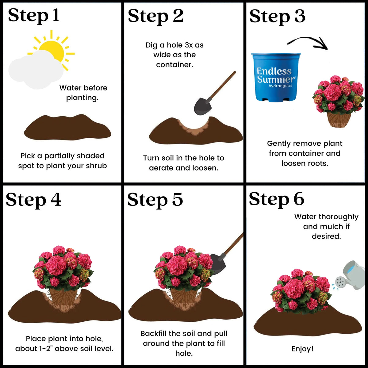 Live Hydrangea Shrub 1 Gallon D8610