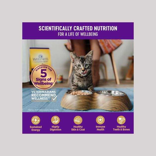 Grain Free Wet Cat Food Q187
