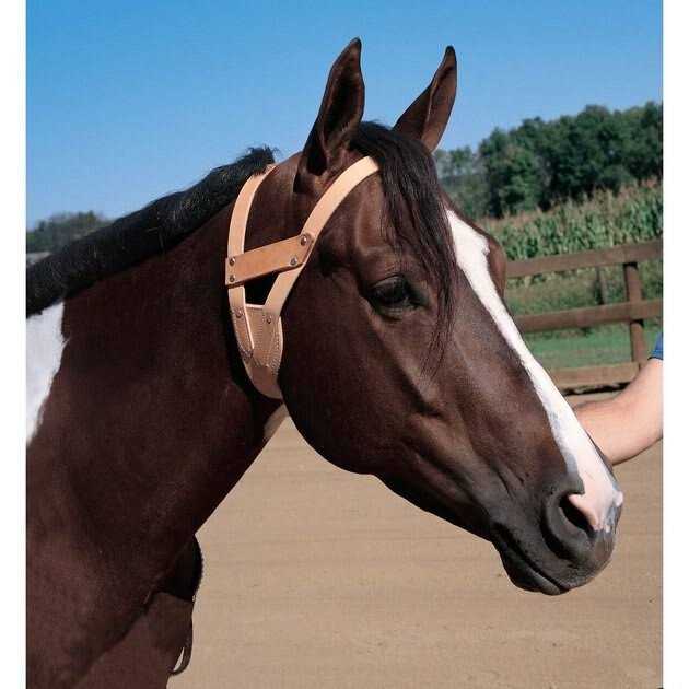 Leather Collar P74081