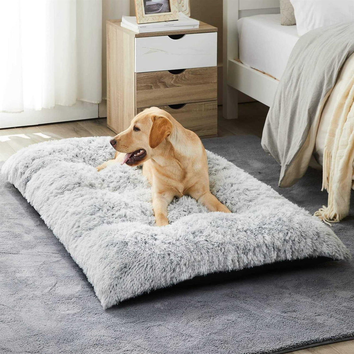 Plush Dog Crate Bed T268252