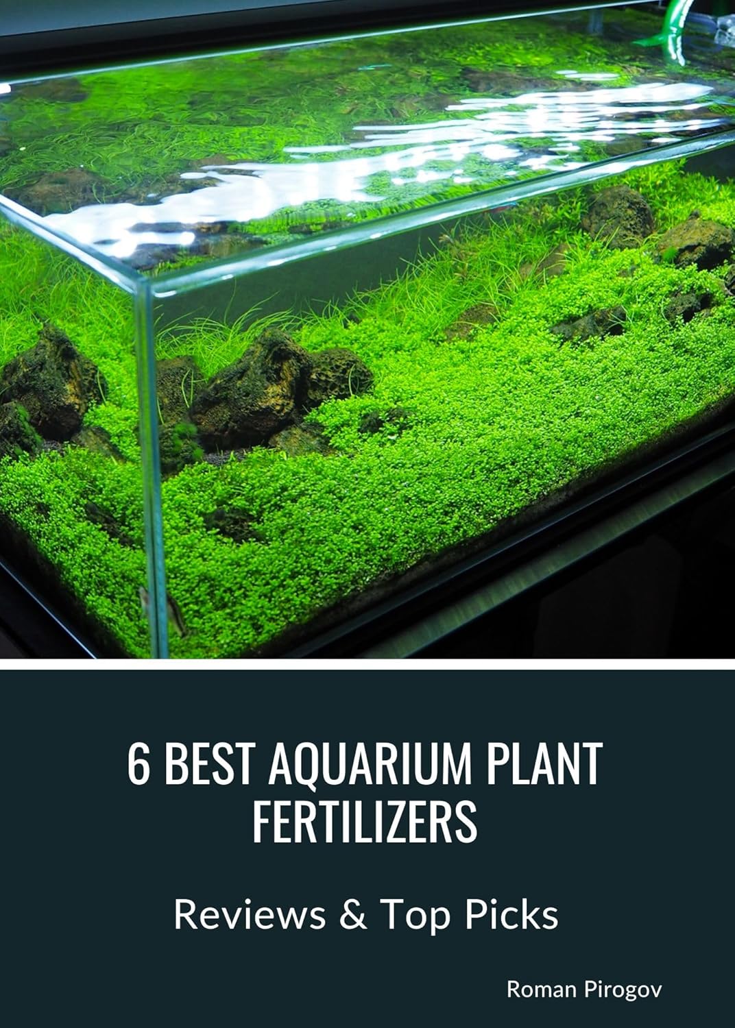 Aquarium Plant Fertilizers G936453