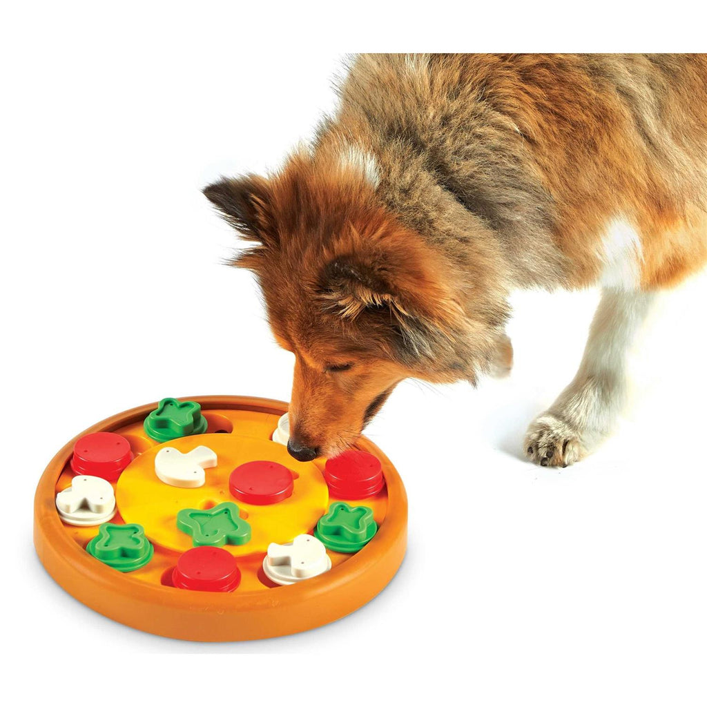 Dog Treat Puzzle M356450