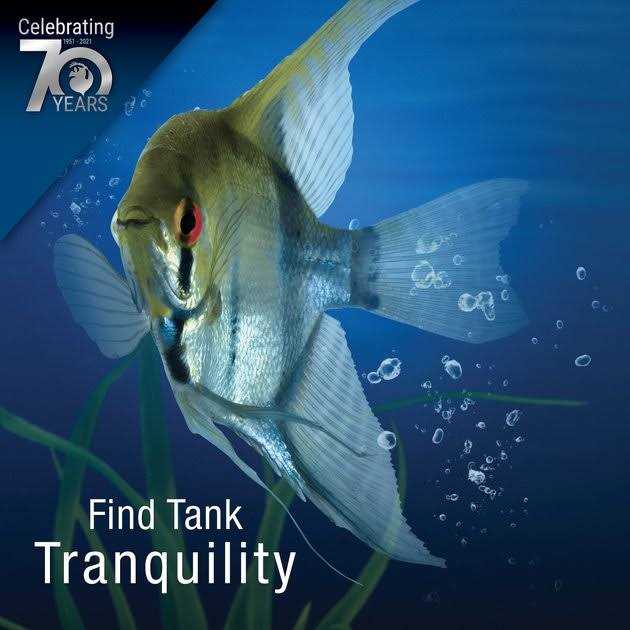 Pond Tubing P259