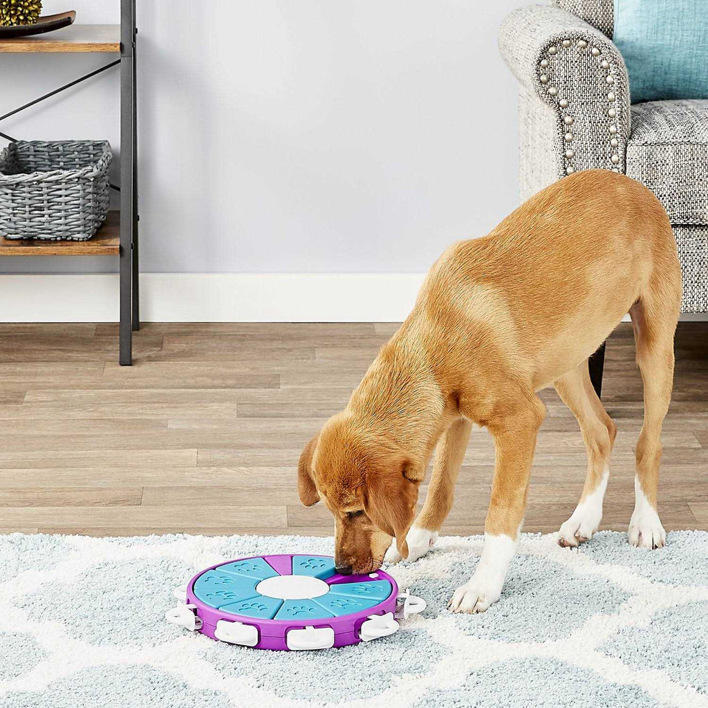 Twister Puzzle Dog Toy K609216