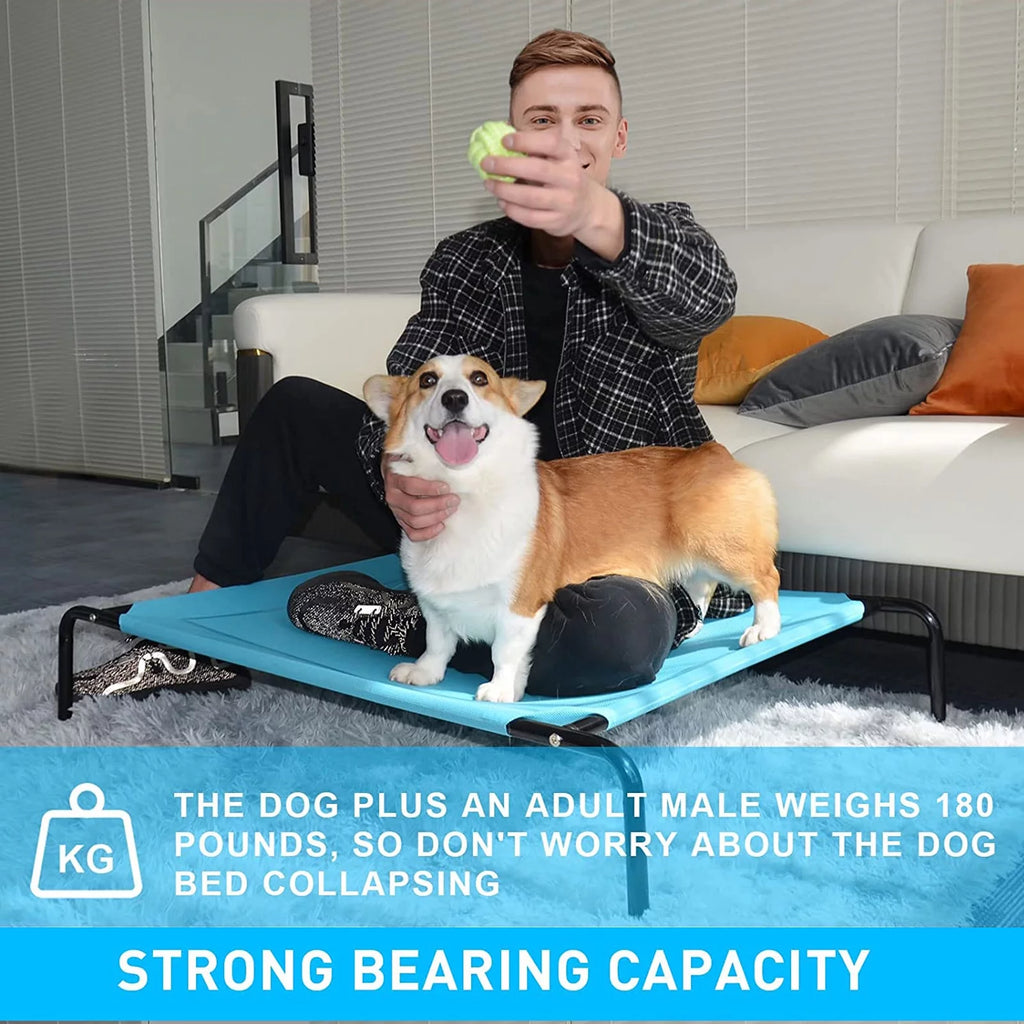 Extra Large Elevated Dog Bed Y144