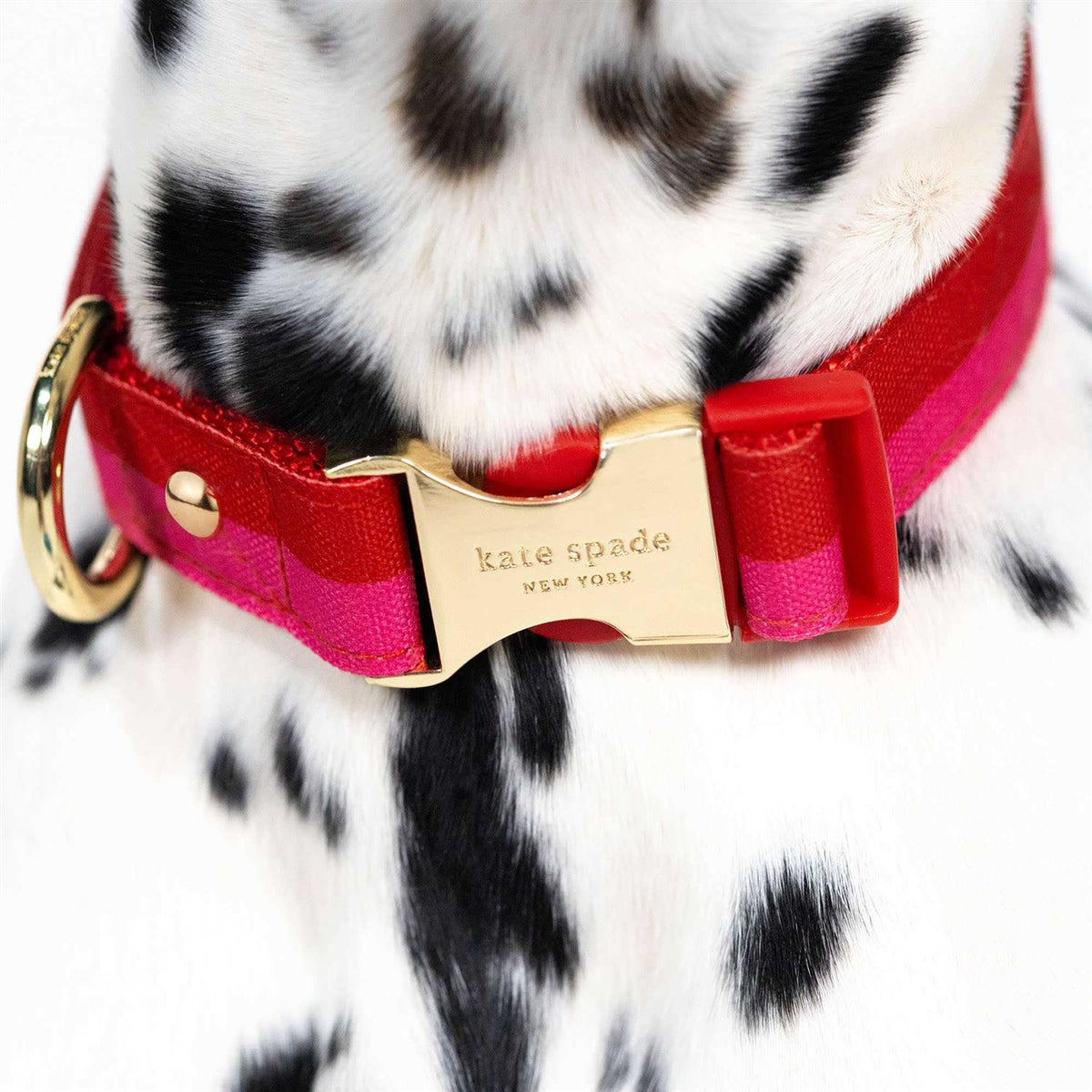 Red Pink Colorblock Dog Collar W20229