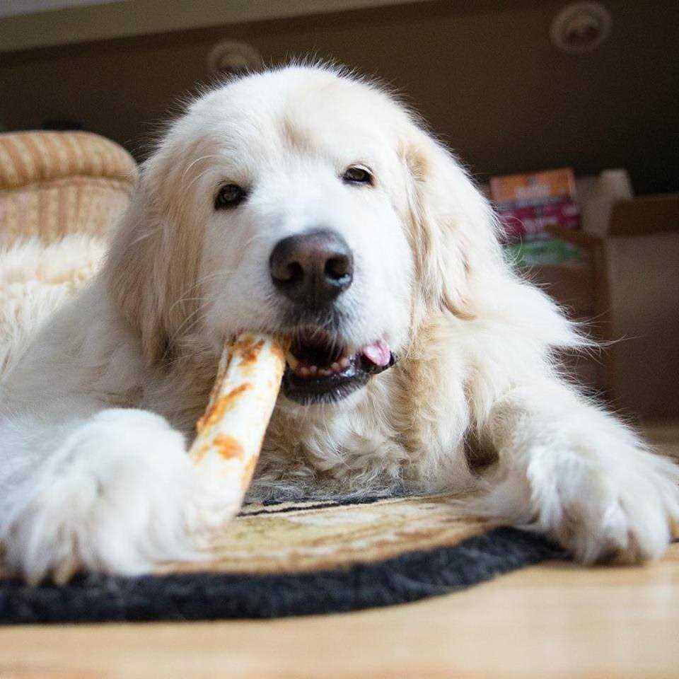 Peanut Butter Dog Chews C5700