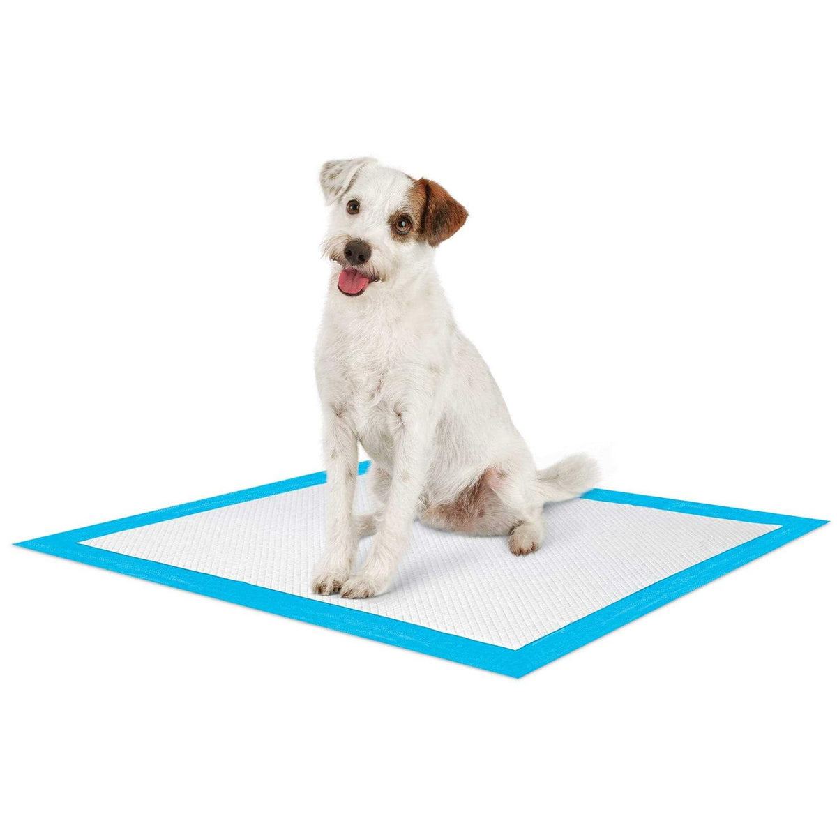 Large Quilted Potty Pads V48523