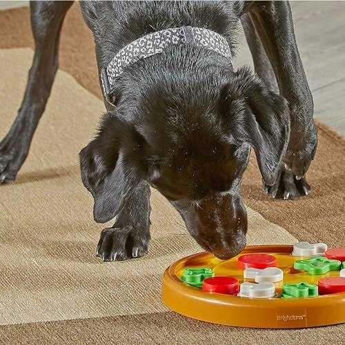 Dog Treat Puzzle M356450