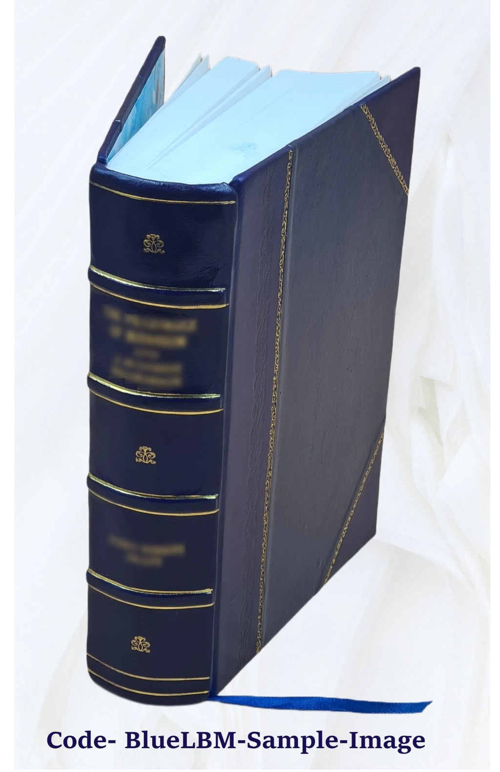 Leather Bound Book X914