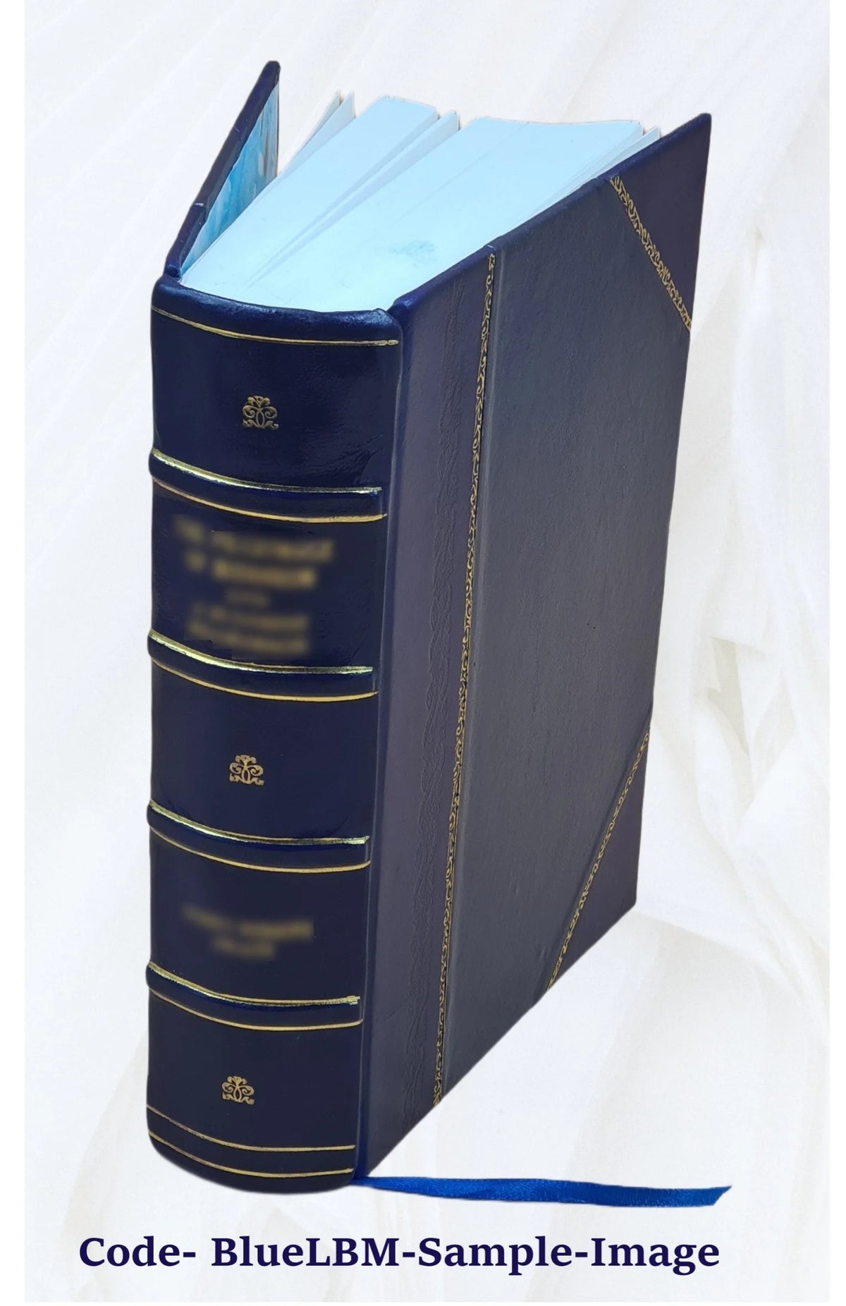 Leather Bound Book X914