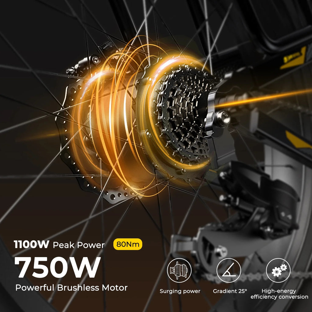 750W Fat Tire Electric Bike 26''x4'' 48V 15Ah E3203