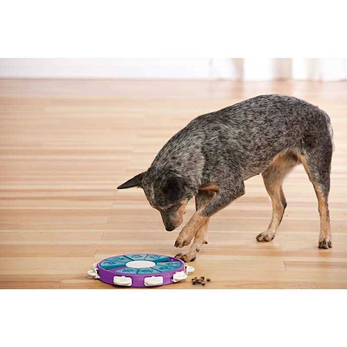 Twister Puzzle Dog Toy K609216