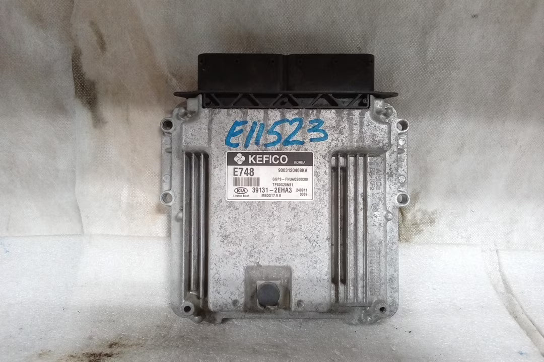 Electronic Control Module Z2265